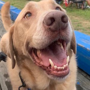 Meet your Posher, Rie